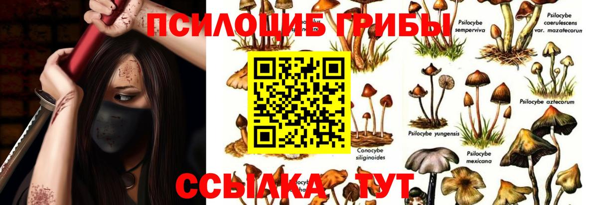 Орёл  Псилоцибиновые грибы мицелий  Вход с VPN  Галлюциногенные грибы Magic Shrooms 